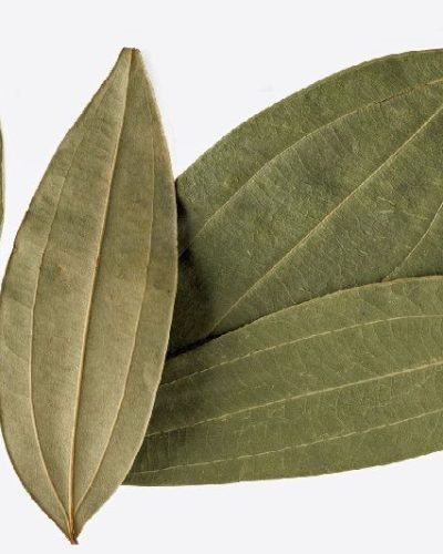 Bay Leaf / Daun Bay / তেজ পাতা