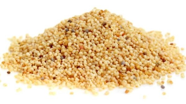 Poppy Seeds / Posto Seed / Biji Poppy / Biji Posto / পোস্ত দানা