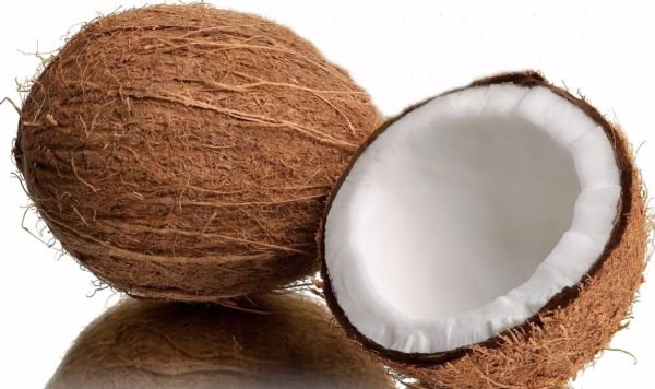 Coconut / Kelapa / নারকেল