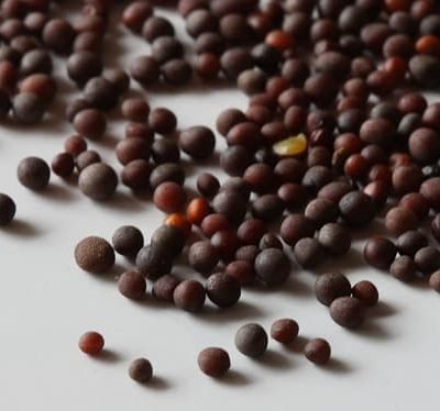 Black Mustard Seeds / Biji Sawi / কালো সরিষার দানা