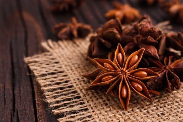 Star Anise / Bunga Lawang / তারকা মৌরী