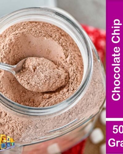 Chocolate Chip Biscuit Mix 500 Gram Pack