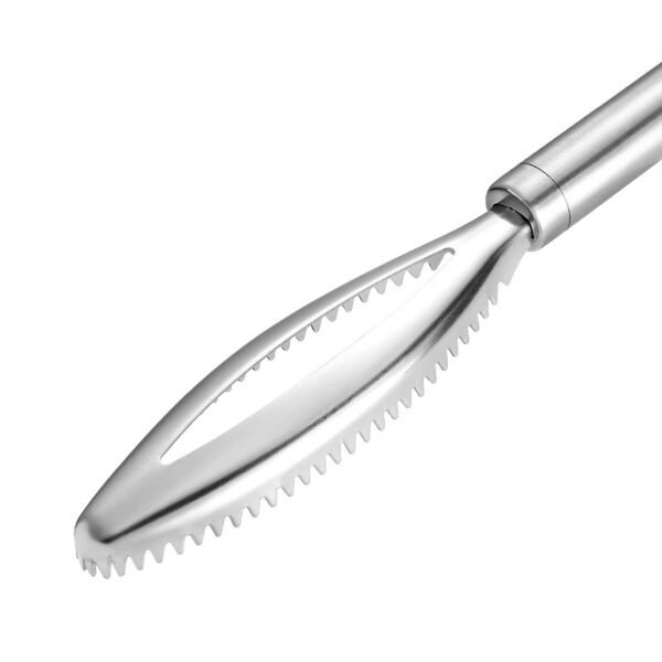 430 Stainless Steel Scale Removing Artifact Fish Killing Tool Kitchen Gadgets - Image 6
